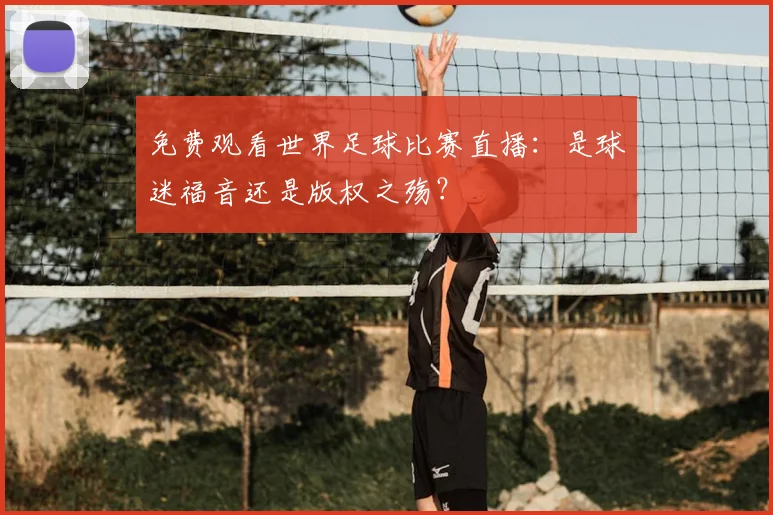 免费观看世界足球比赛直播:是球迷福音还是版权之殇?